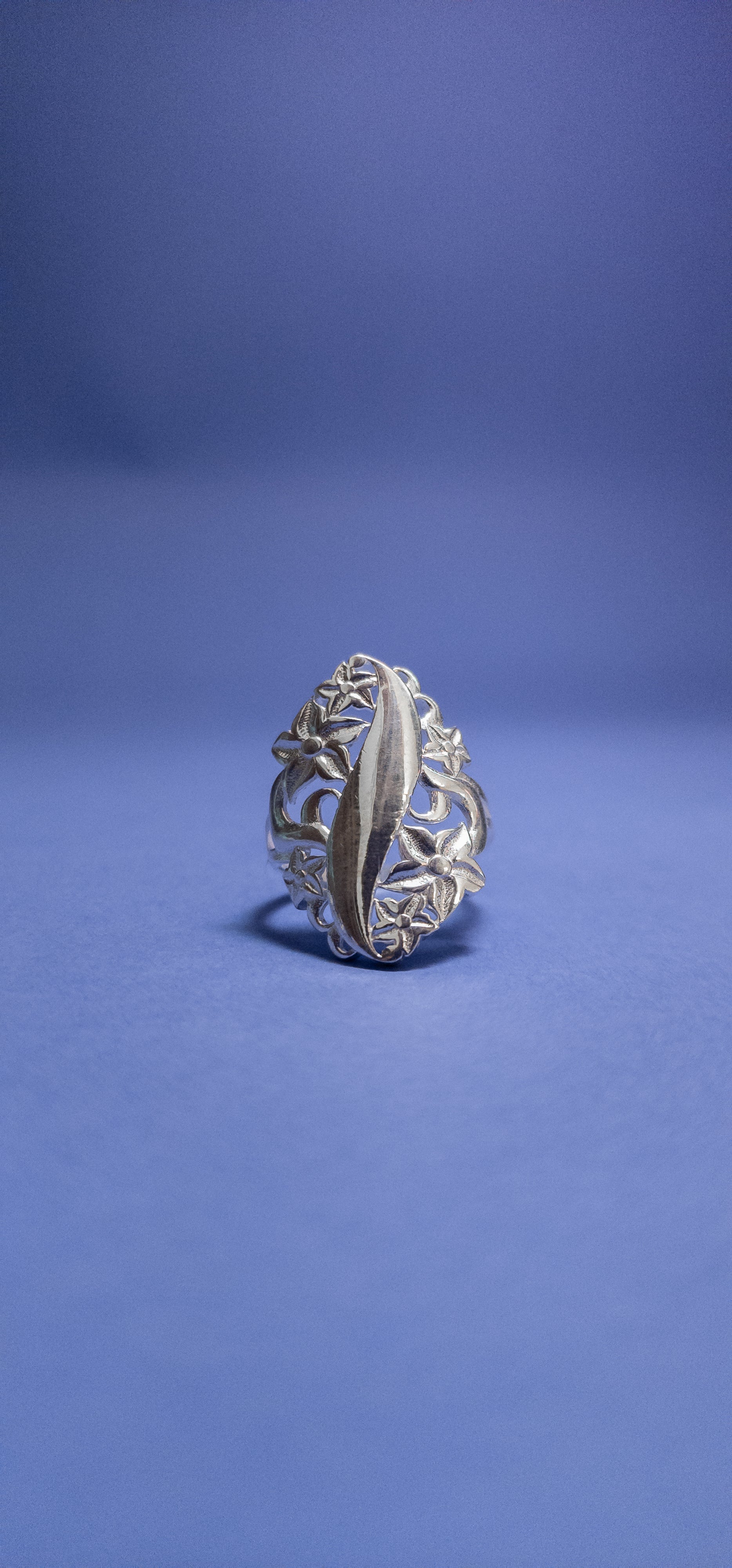 Anillo Patrón